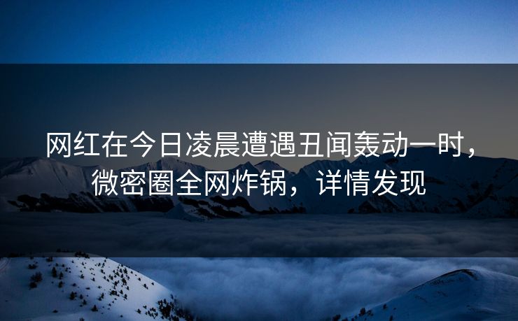 网红在今日凌晨遭遇丑闻轰动一时，微密圈全网炸锅，详情发现